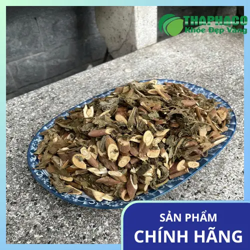 Hình ảnh cây Bạch Đồng Nữ tươi tại vườn dược liệu