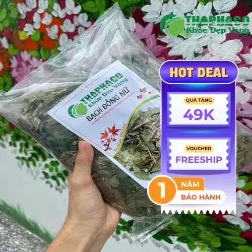 Hình ảnh bạch đồng nữ sấy khô tự nhiên