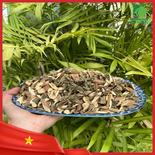 Bạch đồng nữ khô chất lượng cao tại THAPHACO