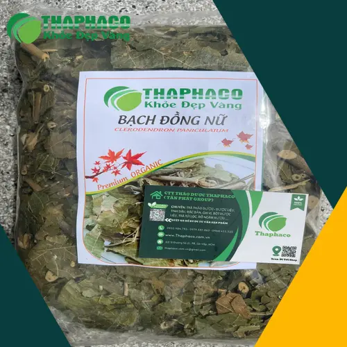Quy trình tuyển chọn bạch đồng nữ của THAPHACO