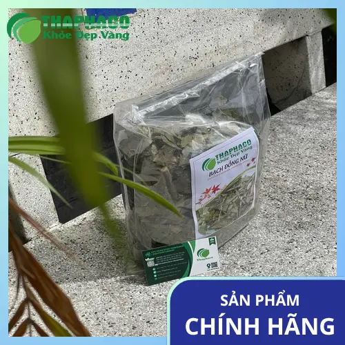 Bạch đồng nữ sấy lạnh chất lượng cao tại Dược Liệu Sỉ THAPHACO