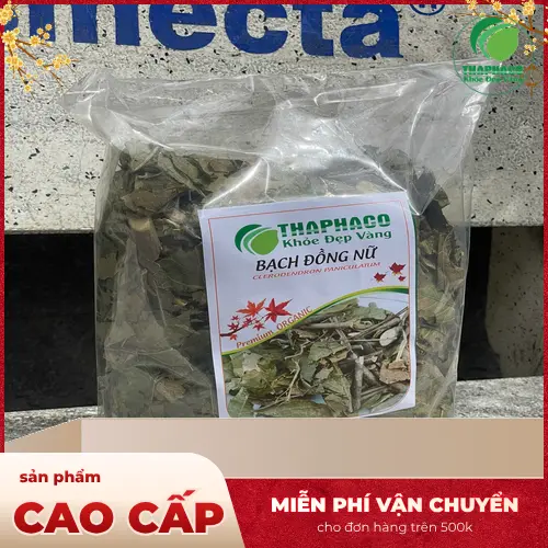 Bạch đồng nữ đã được sơ chế và chuẩn bị sẵn sàng cho sử dụng