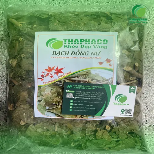 Quy trình pha trà Bạch Đồng Nữ tại nhà đơn giản