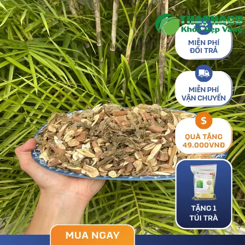 Chương trình ưu đãi miễn phí vận chuyển cho bạch đồng nữ