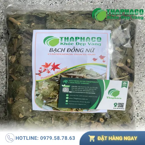 Quy trình sơ chế bạch đồng nữ chuyên nghiệp tại Dược Liệu Sỉ THAPHACO