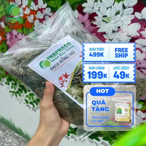 Hình ảnh cận cảnh bạch đồng nữ khô chất lượng cao