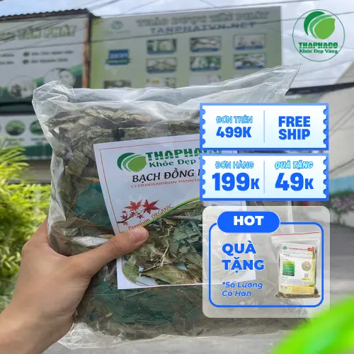 Bạch đồng nữ được đóng gói cẩn thận