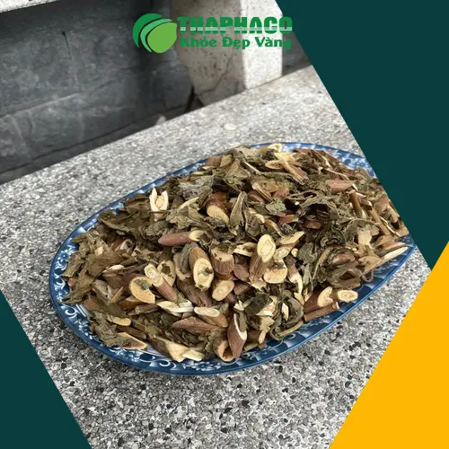 Sản phẩm bạch đồng nữ chất lượng cao được đóng gói cẩn thận tại Dược Liệu Sỉ THAPHACO