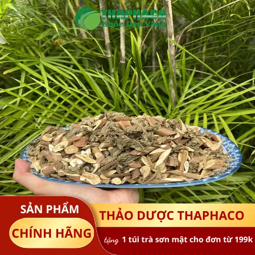 Kho chứa bạch đồng nữ khô số lượng lớn tại THAPHACO