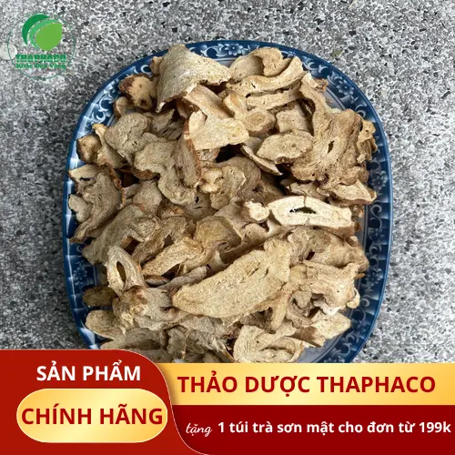 Hình ảnh cây bạch truật tươi và rễ củ bạch truật đã được sơ chế