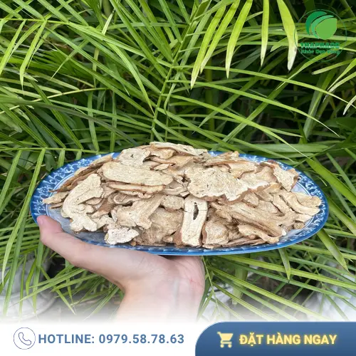 So sánh chất lượng Bạch Truật khô THAPHACO với sản phẩm khác