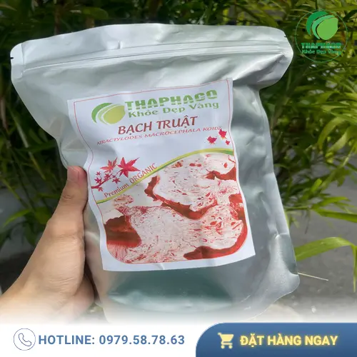 Kho dược liệu bạch truật số lượng lớn tại Dược Liệu Sỉ THAPHACO