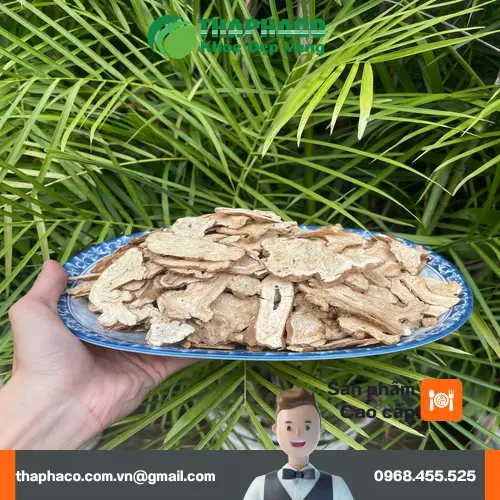 Địa chỉ mua bạch truật sấy khô tại THAPHACO Gò Vấp