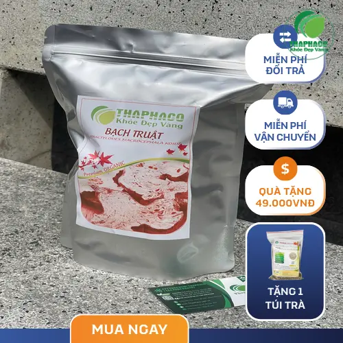 Cách dùng Bạch truật trị nám tại nhà