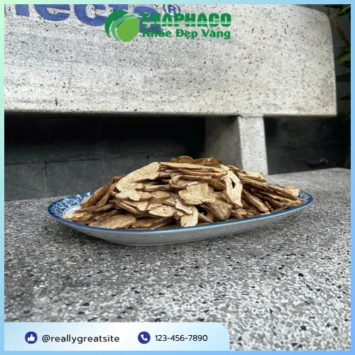 Kho chứa Bạch Truật khô số lượng lớn tại THAPHACO TP.HCM