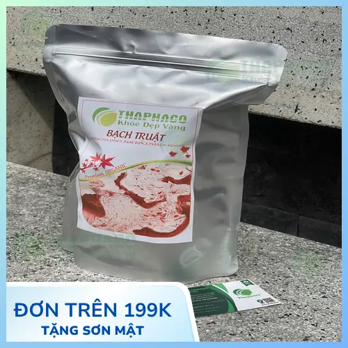 Dược Liệu Sỉ THAPHACO cung cấp bạch truật số lượng lớn