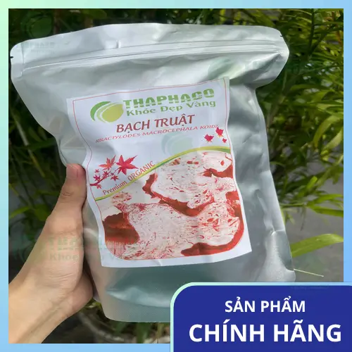 Bạch truật chất lượng cao Dược Liệu Sỉ THAPHACO