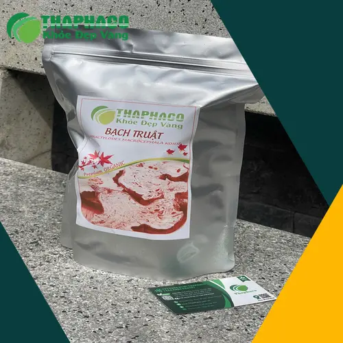 Củ bạch truật đã được sơ chế sạch sẽ, sẵn sàng cho việc sử dụng