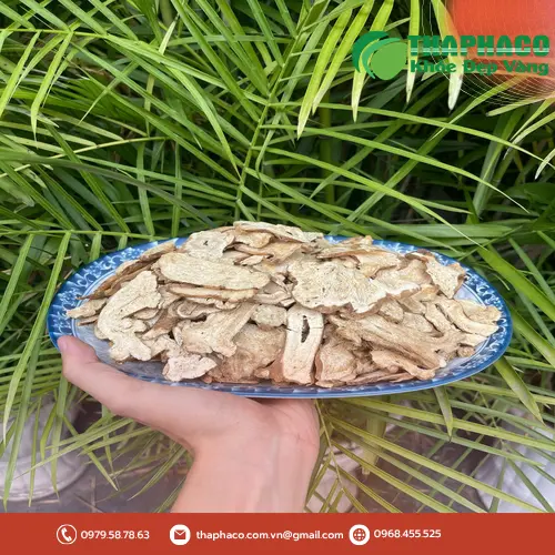 Bạch truật nguyên củ chất lượng cao