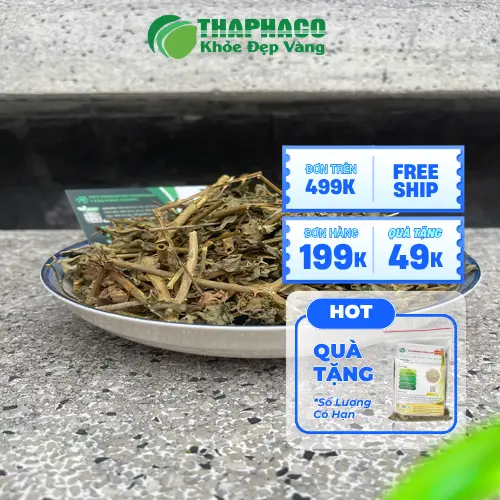 Cà gai leo khô chất lượng cao từ THAPHACO