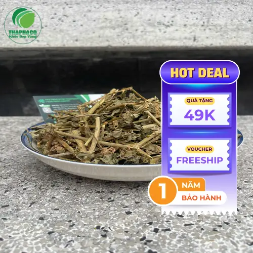 Cận cảnh cà gai leo sấy khô sau khi chế biến