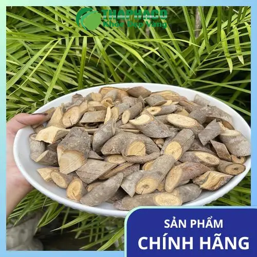 Dược liệu tự nhiên hỗ trợ sức khỏe đường hô hấp