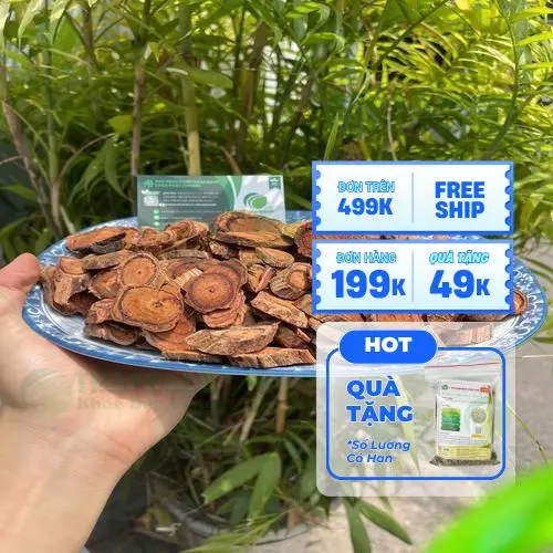 Hình ảnh thân cây Kê Huyết Đằng khi chặt ngang thân