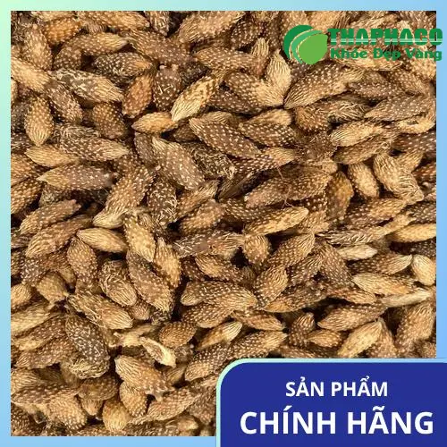Ké đầu ngựa khô dược liệu