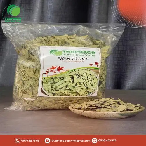 Hình ảnh chung về dược liệu thiên nhiên, lá phan tả diệp khô