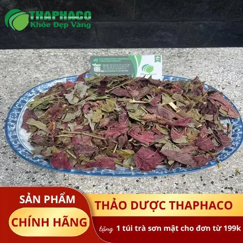Hình ảnh minh họa lá đơn đỏ tươi, dược liệu quý trong dân gian