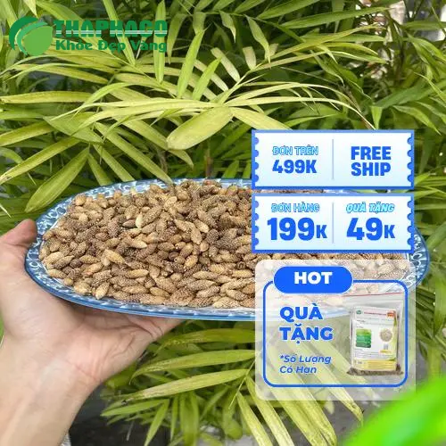 Hình ảnh ké đầu ngựa sấy khô chất lượng cao từ THAPHACO