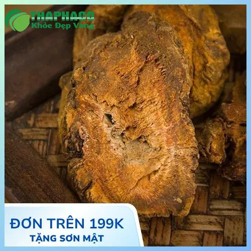 Hình ảnh một loại dược liệu khô, có thể là Cà gai leo, thể hiện sự đa dạng của thảo dược tự nhiên.