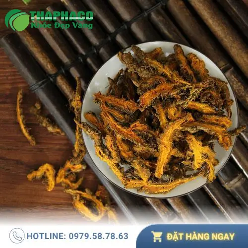 Dược liệu quý giúp cải thiện sức khỏe tổng thể
