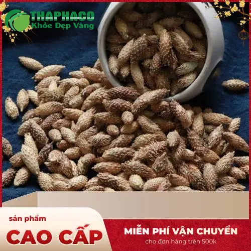Giấy tờ kiểm nghiệm ké đầu ngựa