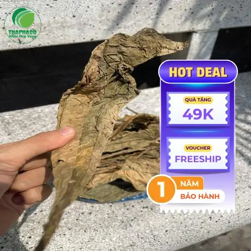 Lá khôi tía sấy khô chất lượng cao đóng gói tại THAPHACO
