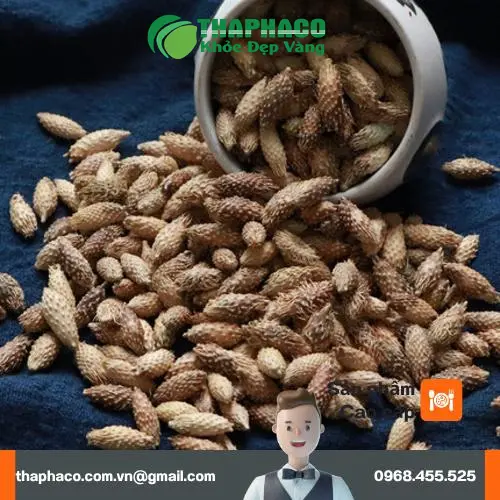 Dược liệu khô pha trà