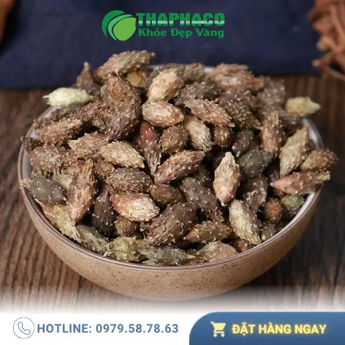 Quy trình sấy khô ké đầu ngựa tại THAPHACO