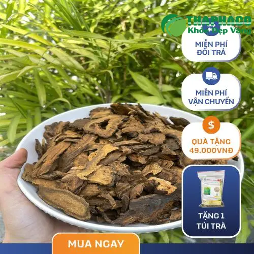 Một góc của vườn dược liệu, có thể là Cà gai leo, thể hiện sự tươi mới và tinh khiết của thiên nhiên.