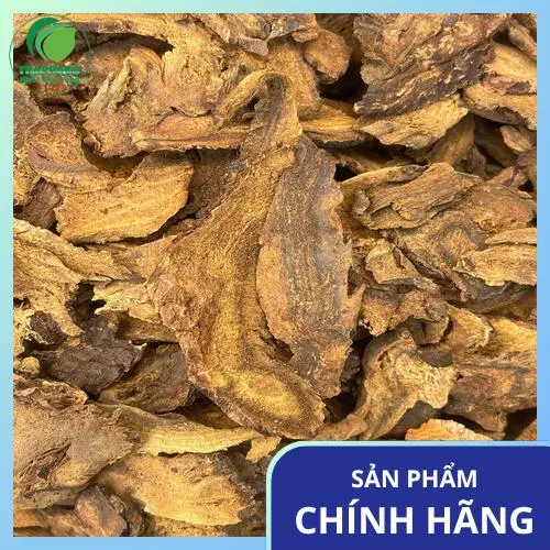 Hướng dẫn cách sắc Đại Hoàng để có hiệu quả tốt nhất
