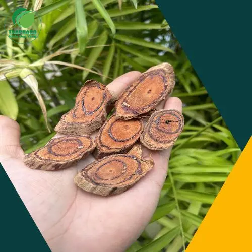 Quy trình đóng gói Kê Huyết Đằng tại THAPHACO