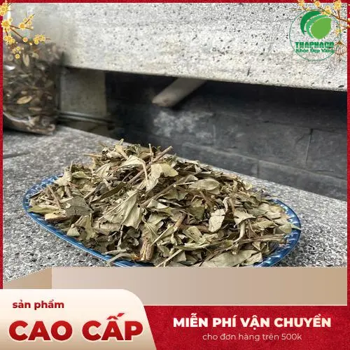 Khổ sâm tự nhiên được phơi khô và sơ chế cẩn thận