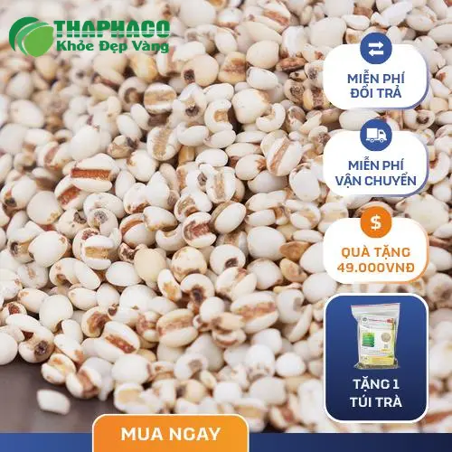 Hình ảnh quy trình sơ chế dược liệu