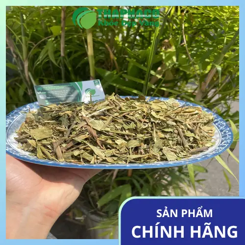 Chính sách freeship hoàn ngọc khô THAPHACO