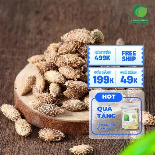 Ké đầu ngựa sấy khô số lượng lớn