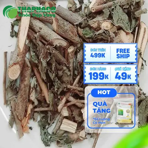 Hình ảnh người dùng đang sử dụng dược liệu