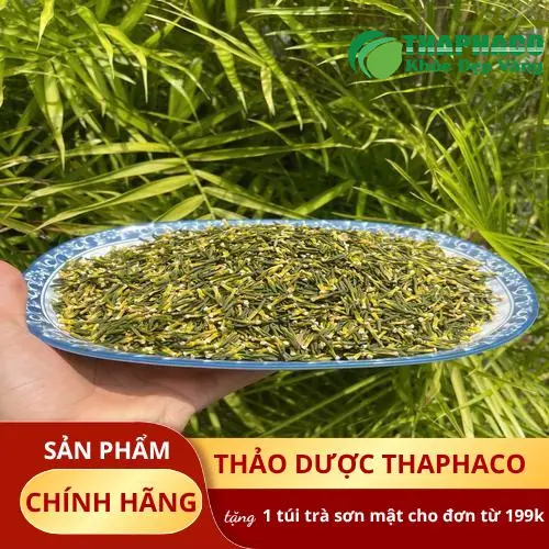 Nguồn nguyên liệu dược liệu tự nhiên đa dạng của THAPHACO
