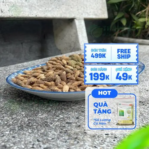 Dược liệu thiên nhiên an toàn