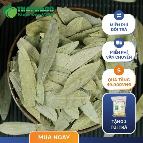 Hình ảnh người phụ nữ đang tập thể dục, tượng trưng cho lối sống lành mạnh