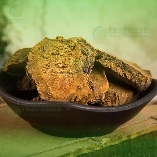 Đại Hoàng khô được bảo quản trong túi kín, tránh ẩm mốc