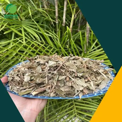 Khổ sâm chất lượng được đóng gói cẩn thận tại THAPHACO